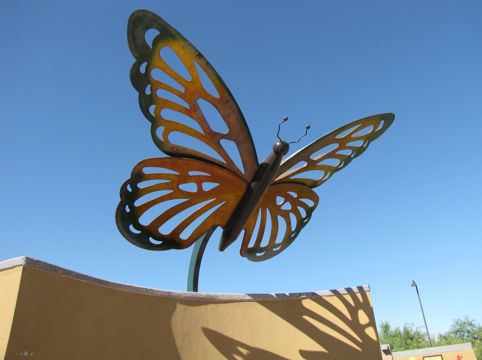 Sense of Misplaced Brandi Fenton Memorial Park