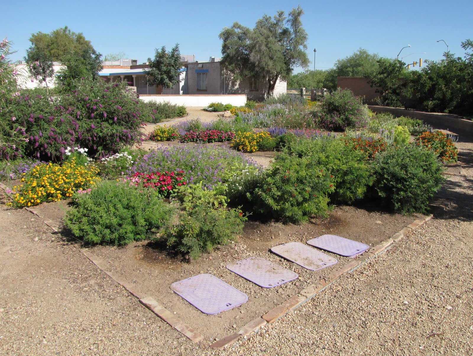 Sense of Misplaced Brandi Fenton Memorial Park