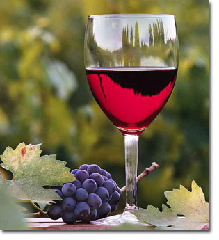 [wine_1.jpg]