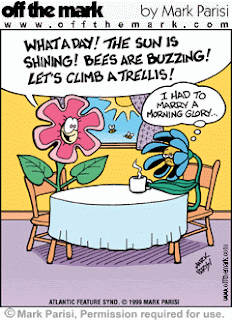 Grrrrrls 5 Fun Gardening Facts For Friday 5 Fun Gardening Facts For Friday