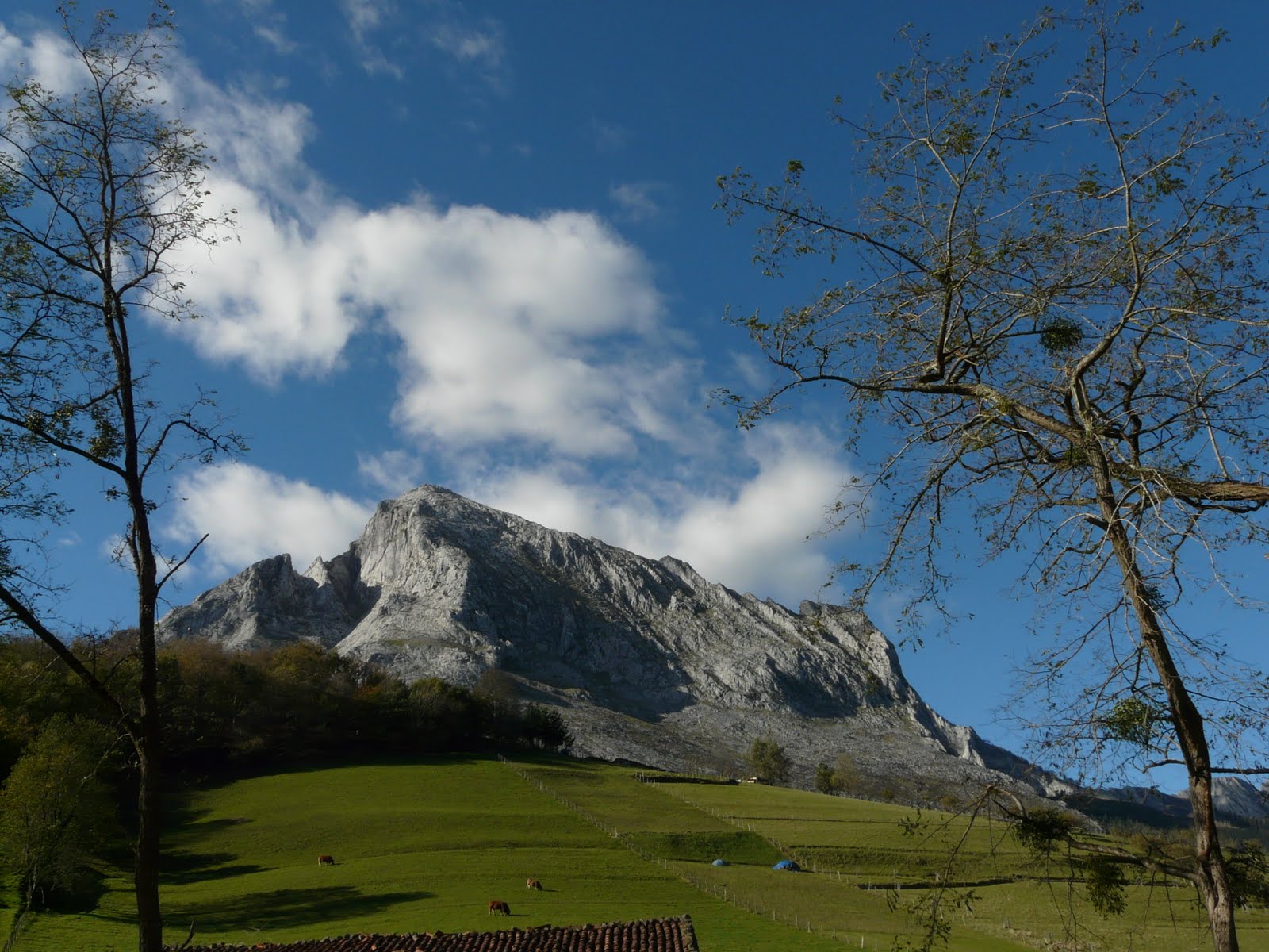 Los Viajes de Zuripa Arrazola