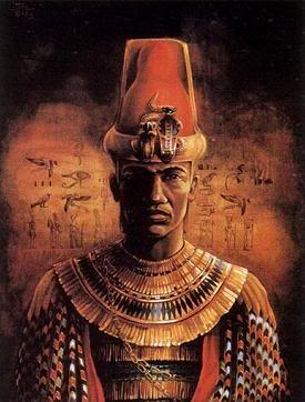 [AfricanKingbyJayBAllen.jpg]