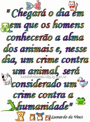 [9.bmp]