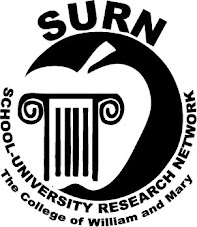 SURN Leadership for Effective Teaching Grant