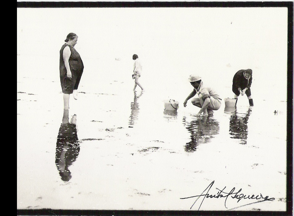 [Manhã+Beira-Mar.jpg]