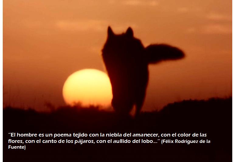 [MOntaje+Mcs+poema+FRF.jpg]