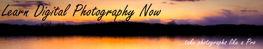 Learn Digital Photography Now