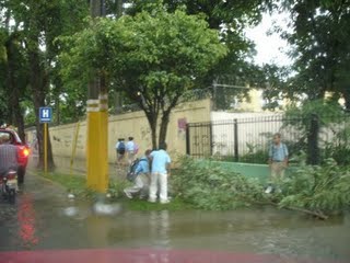 [DSC08675.JPG]