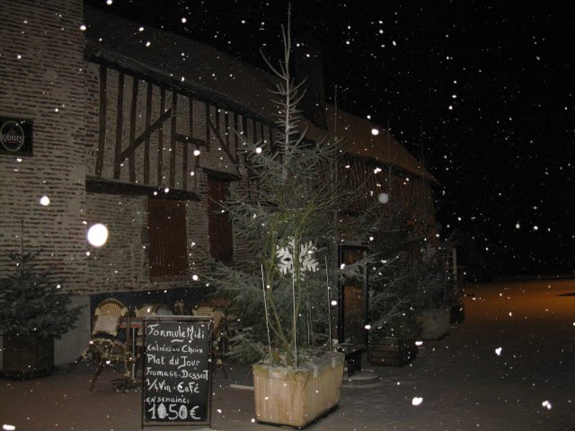 [blog+photos+snow+141.jpg]