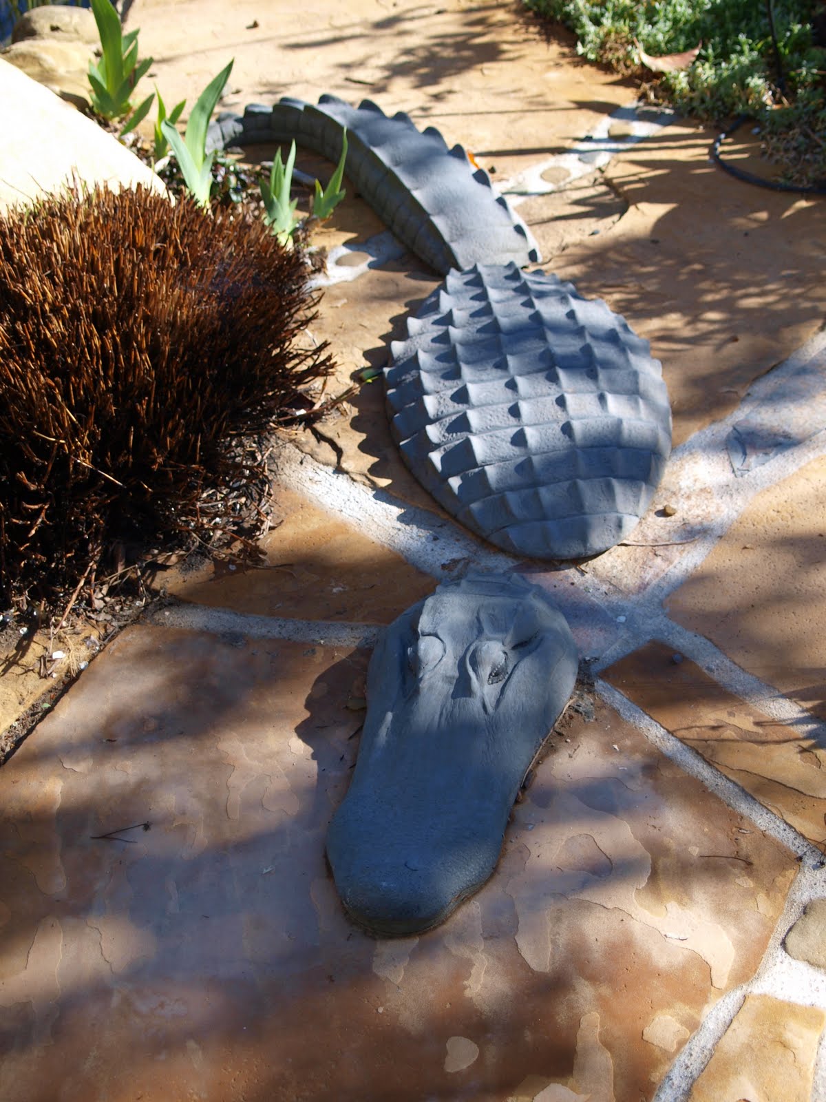 [blog+photo+croc.JPG]