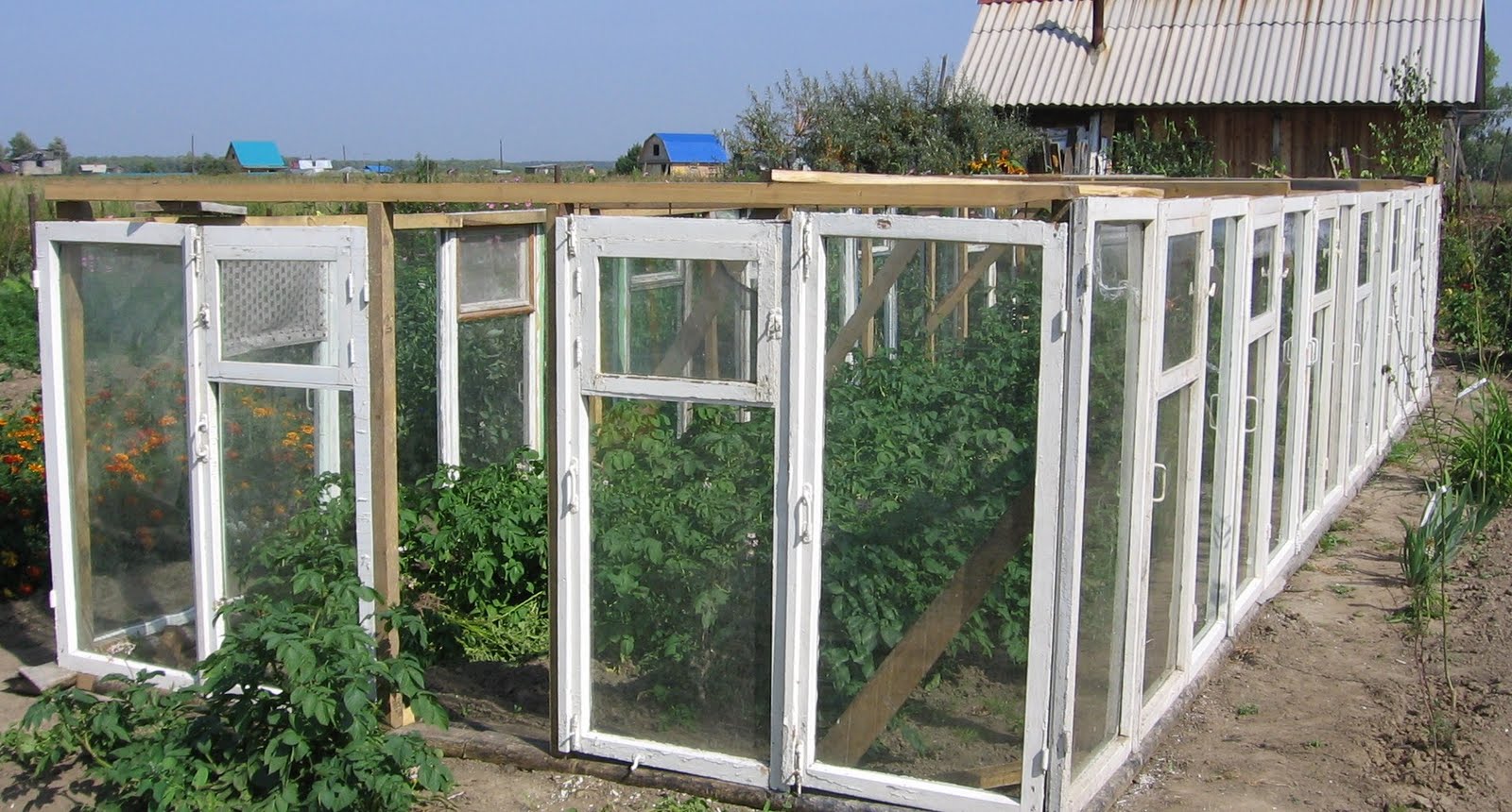 Парник Из Оконных Рам