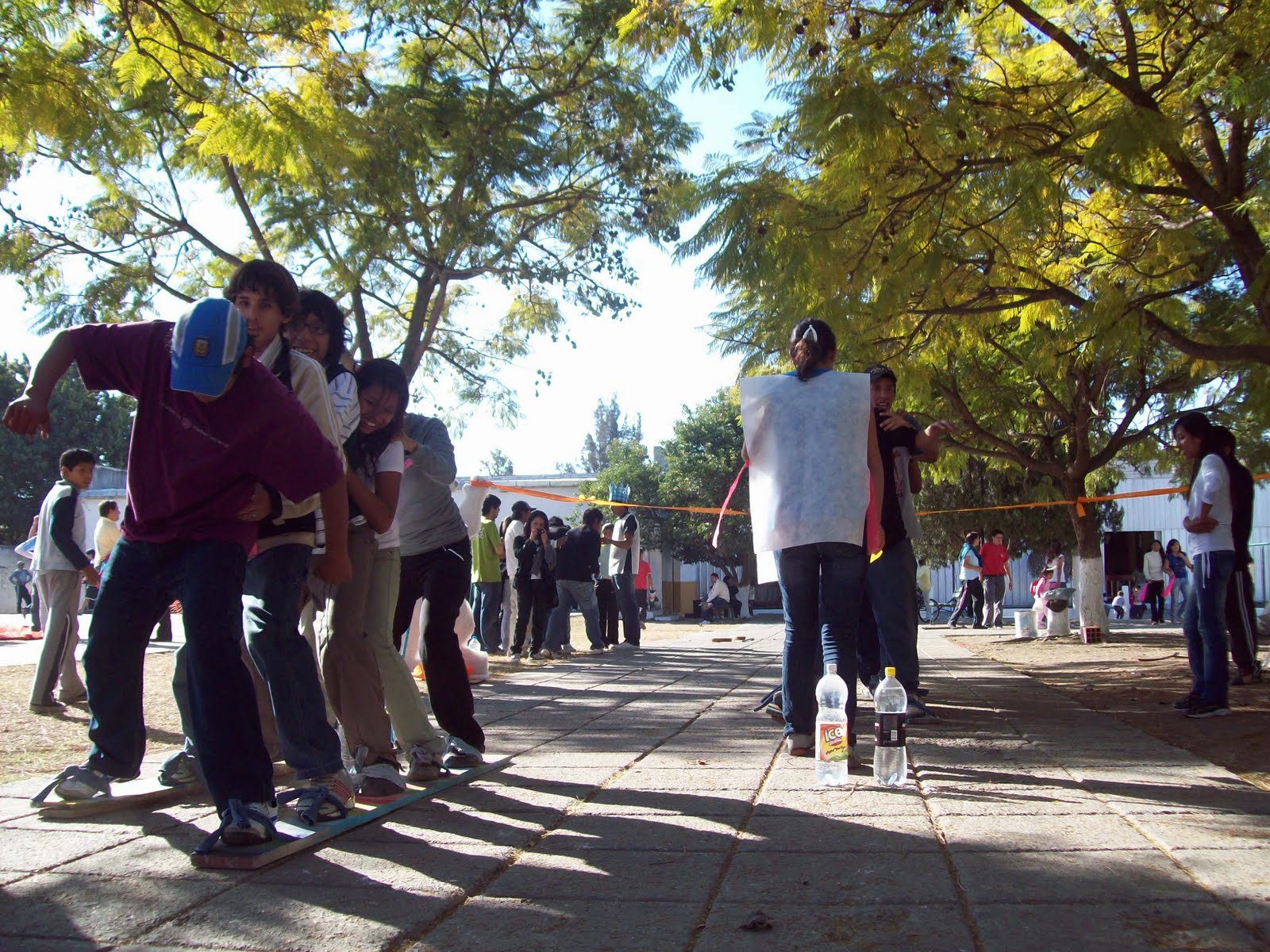 PALESTRA SALTA En el estadio todos corren