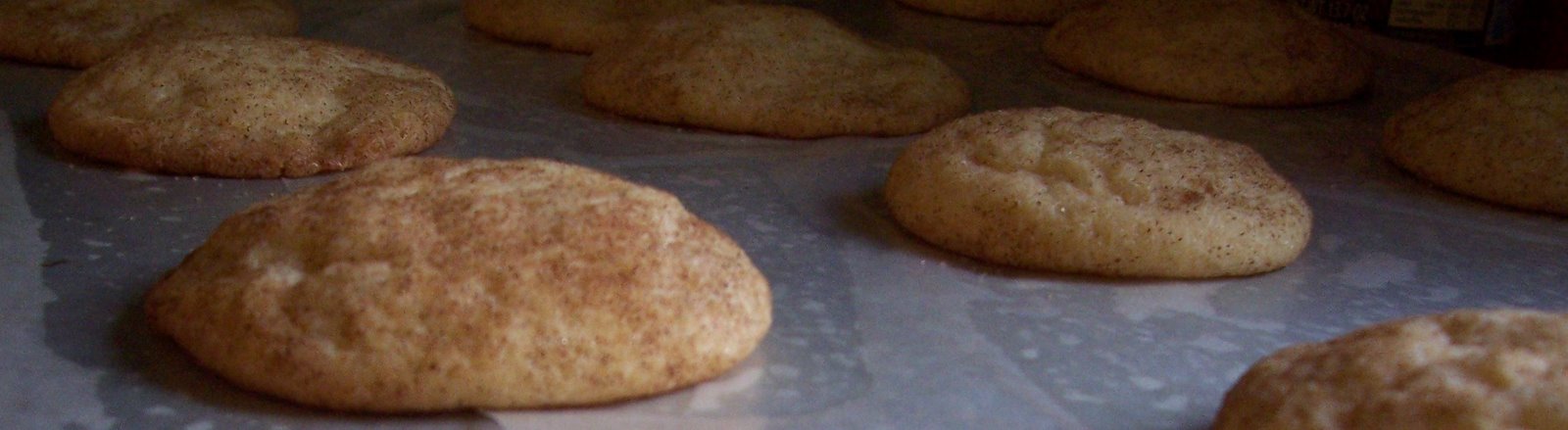 [snickerdoodling+004.JPG]