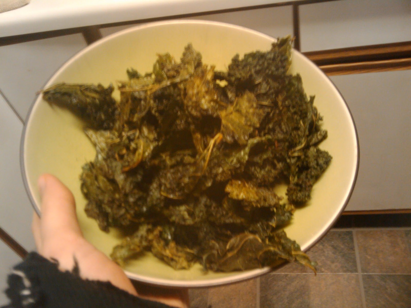 Funky Fresh and Gluten Free Lola's Kale Chips *gluten/dairy/sugar free