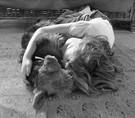 Une Histoire Camarguaise