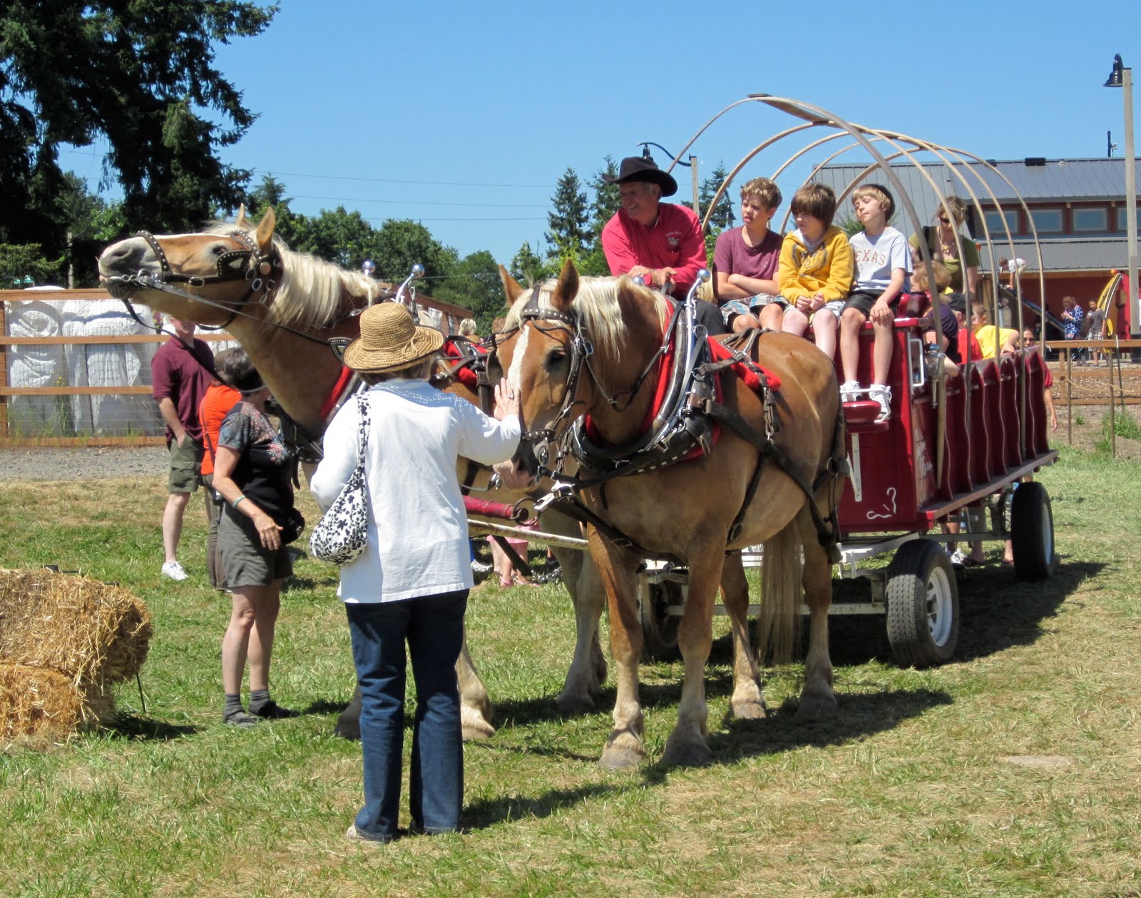 Mexico Daily Living Lake Oswego Centennial Festival Event at Luscher Farm