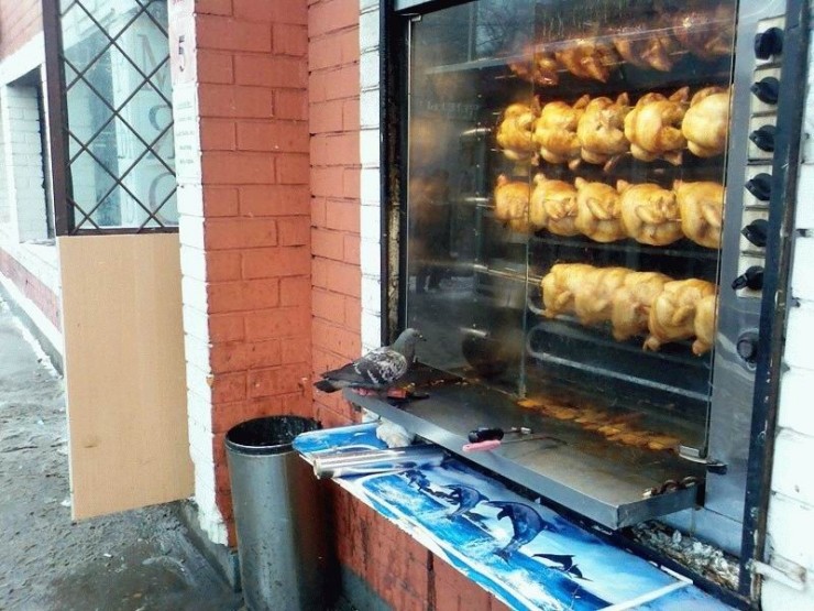 [knuttz_ueba_36.jpg]