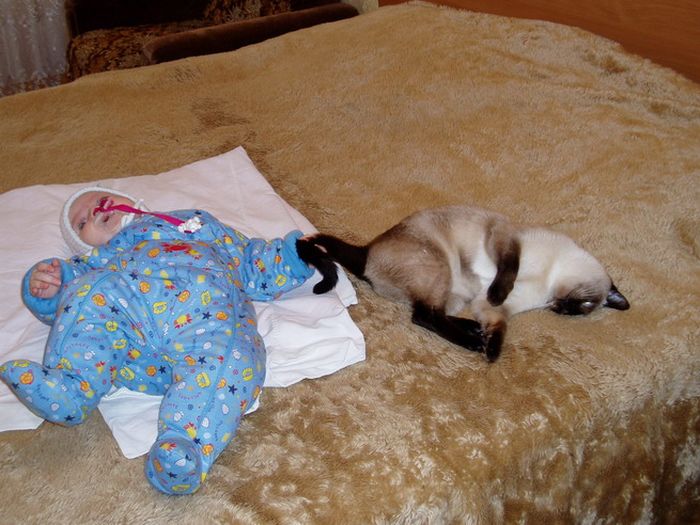 [gatos20080328_28.jpg]