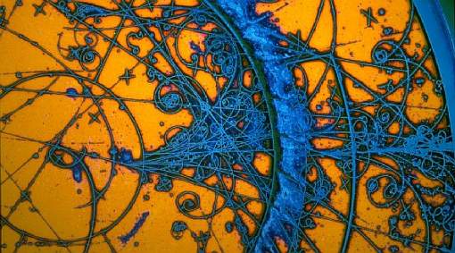 [bubble-chamber321.jpg]