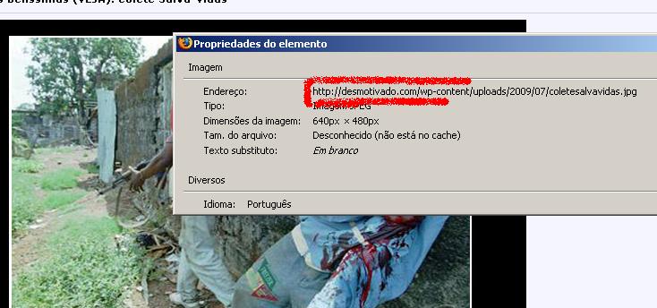 [post-forum-chupim-hotlink.JPG]