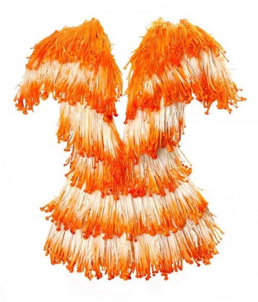 comida vestivel vestidos cogumelos