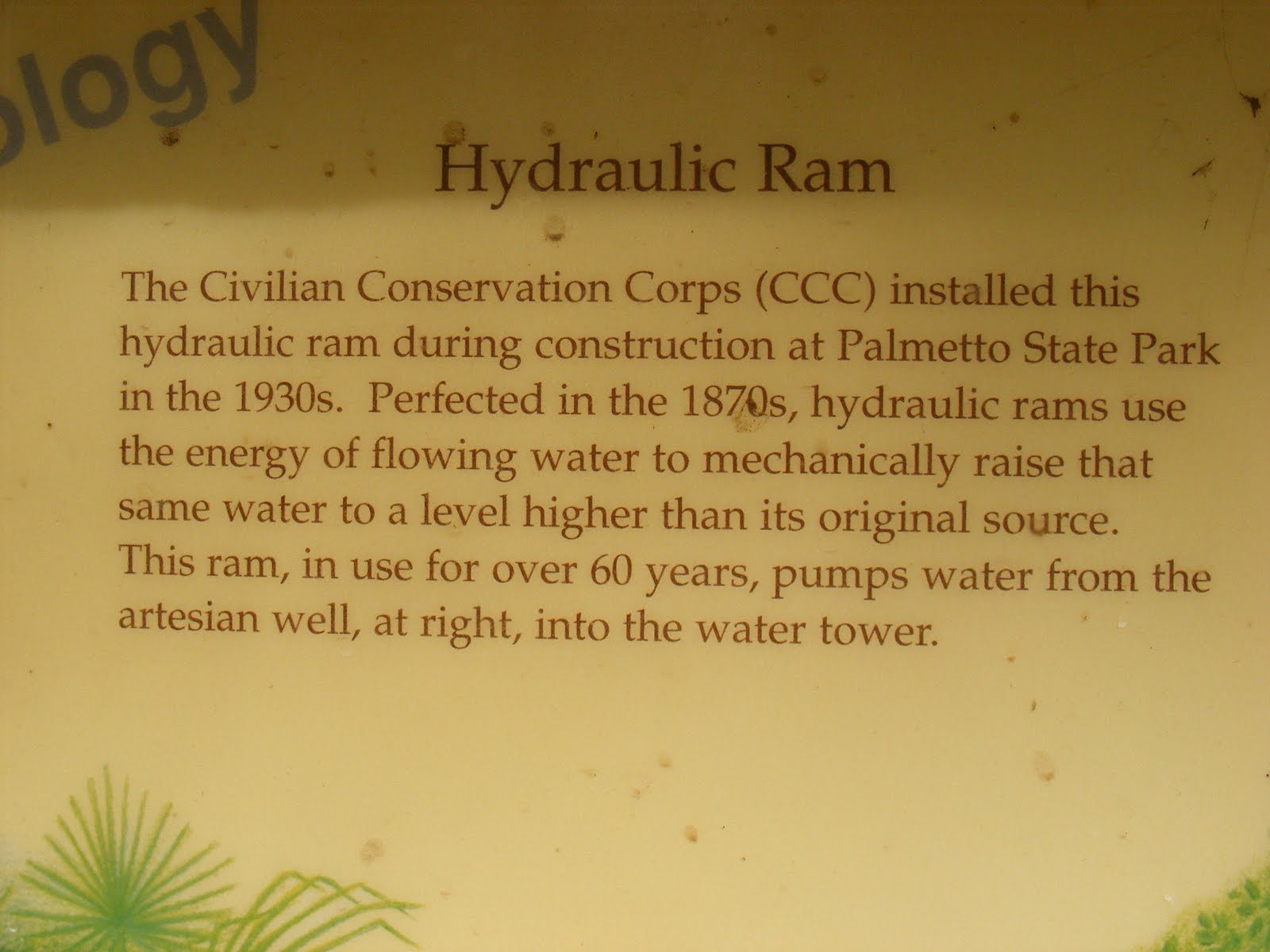 MY HISTORY JOURNAL Palmetto State Park Water Tower