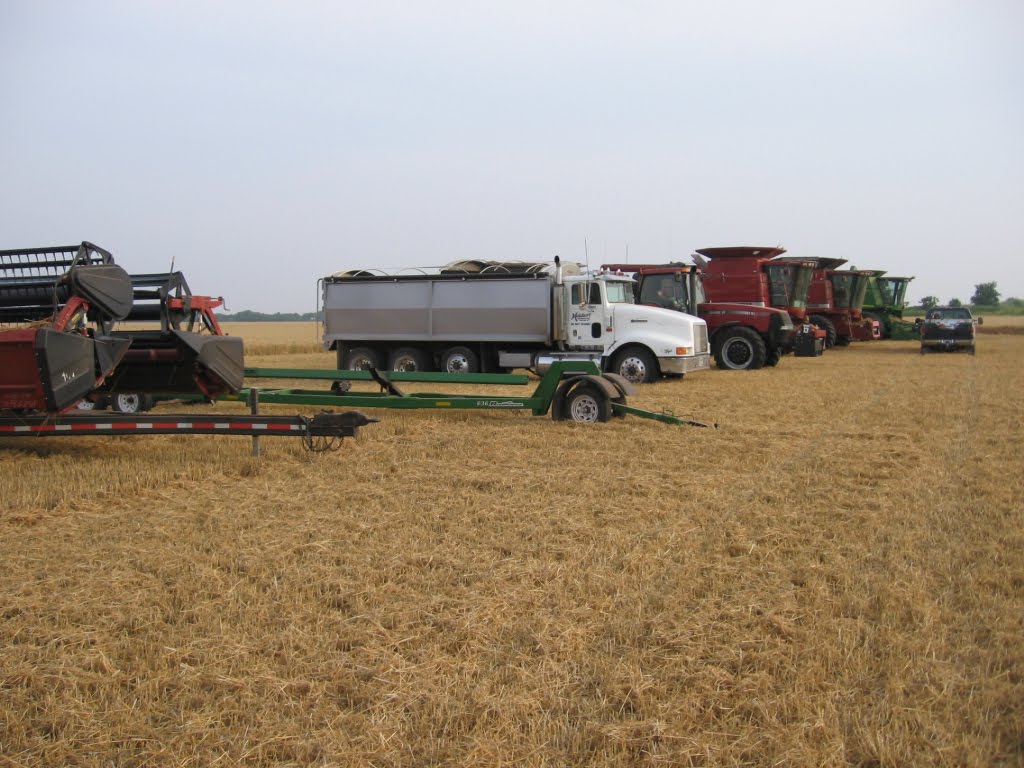 On the Road with Melchert Harvesting Combining Wheat