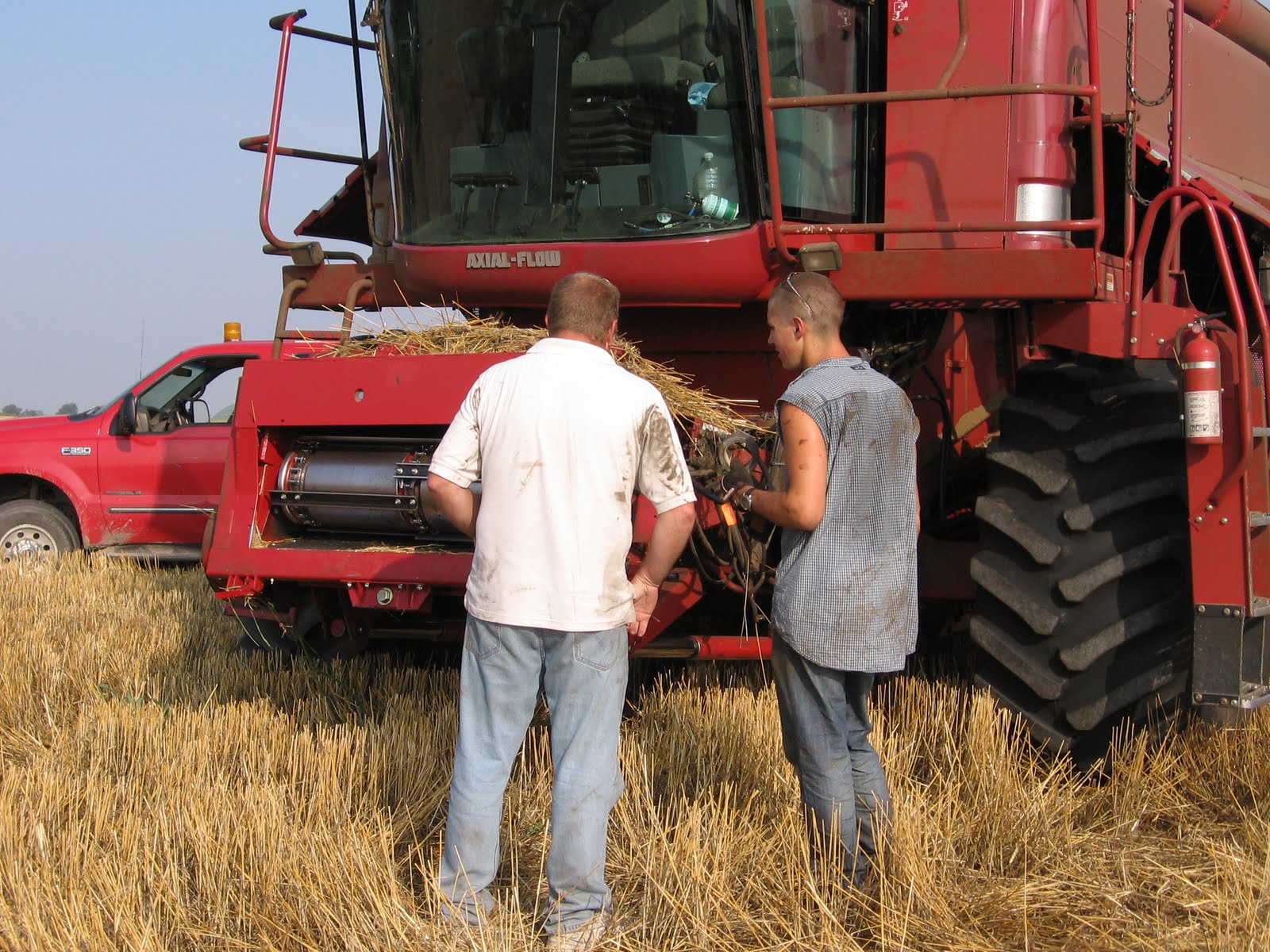 On the Road with Melchert Harvesting Combining Wheat