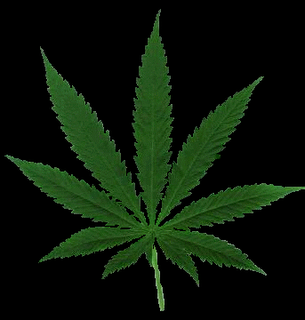 301158marihuana.gif