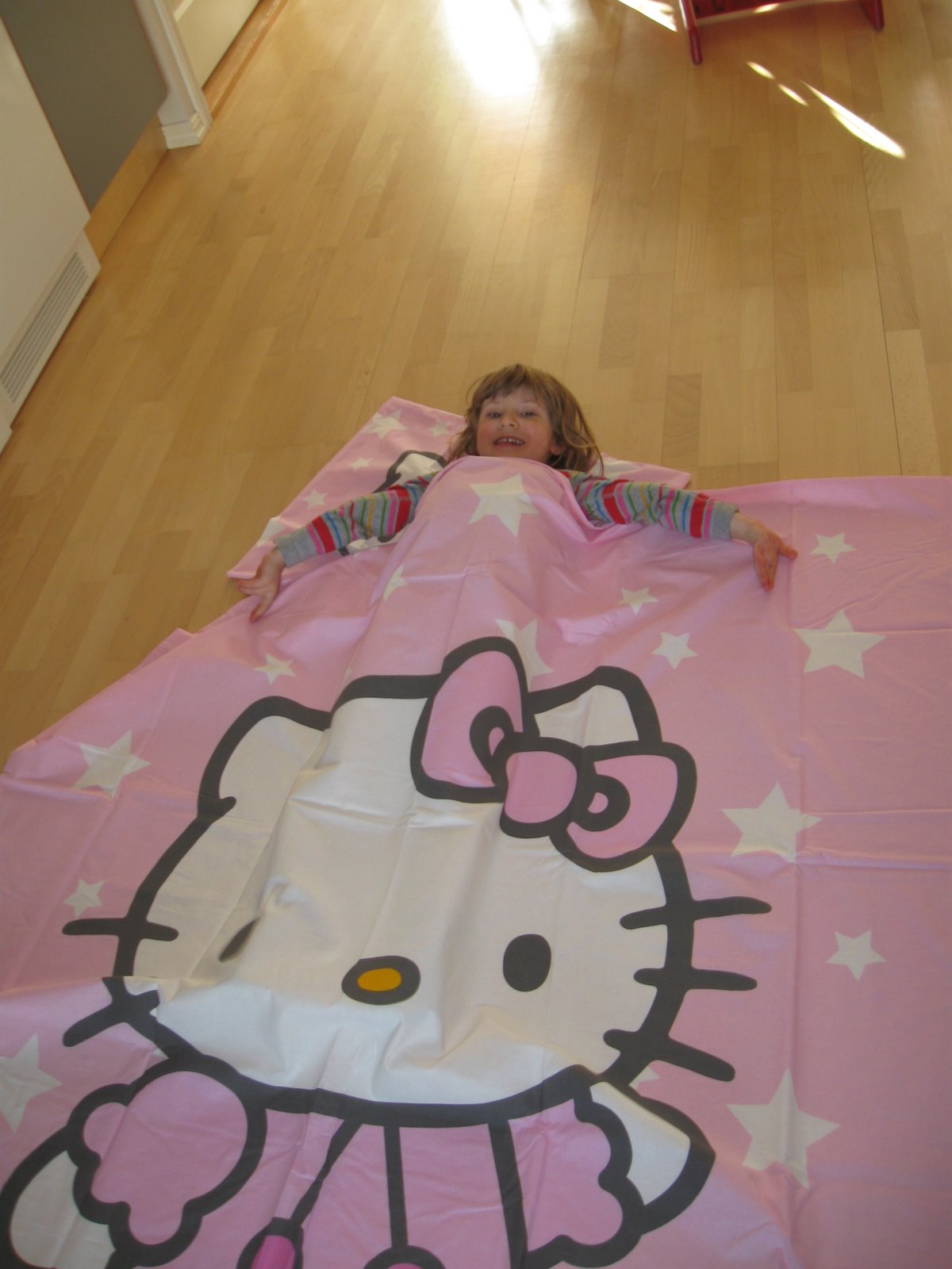 [noraskittytäcke.jpg]