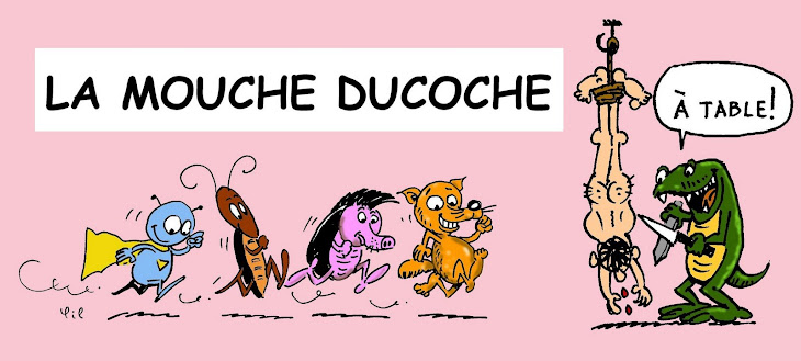 La mouche Ducoche