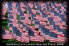 Healing Field of Honor