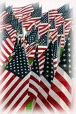 Sea of Flags