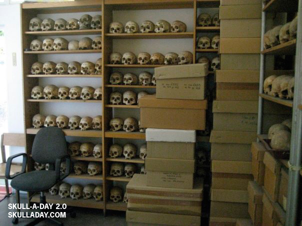 [sabbatical5_9c.jpg]