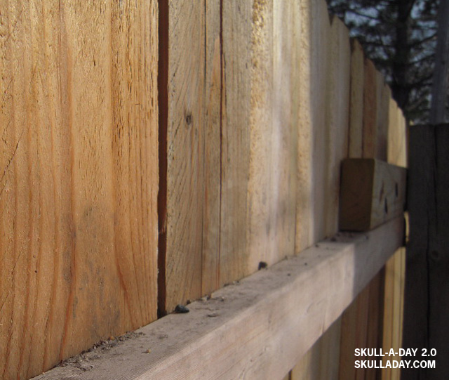 [submission327a.jpg]