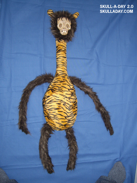 [submission331b.jpg]