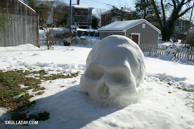 [snowskull2dec21.jpg]