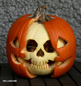 Skull-A-Day: [BONUS] Pumpkin Anatomy Skull Follow-Up