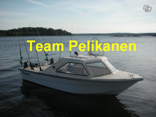 Team Pelikanen