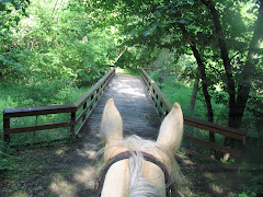 On the trail