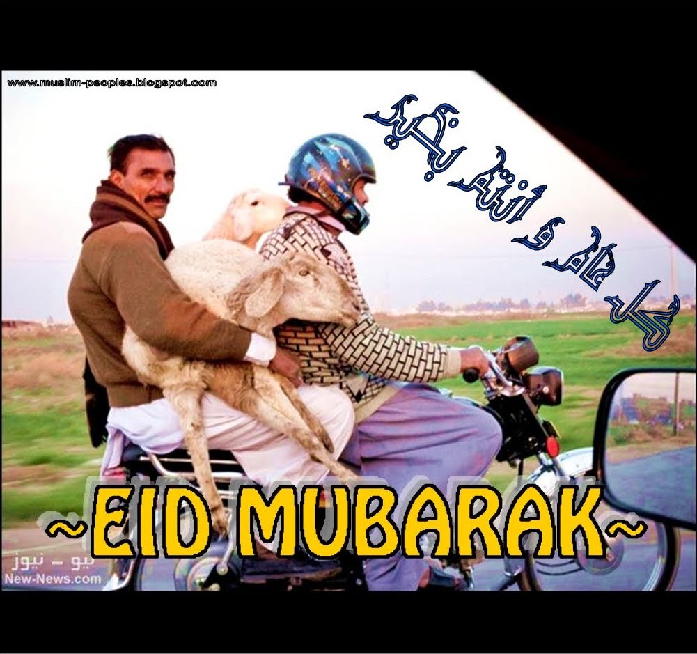 Pak India Zone Eid Ul Adha Funny Greetings Images 