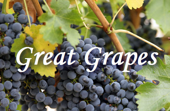 [great_grapes.jpg]