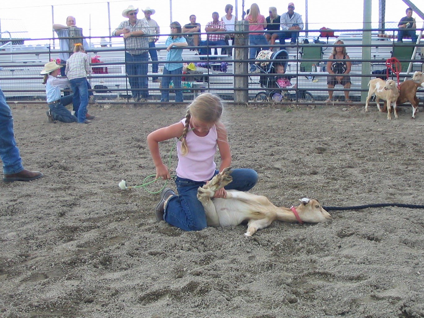 The Wheatley Roundup Goat Tie Down