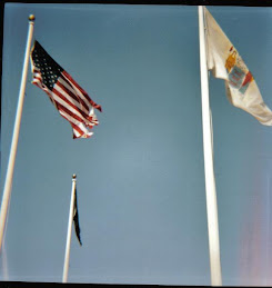 Flags 2008