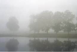 The morning fog 2007