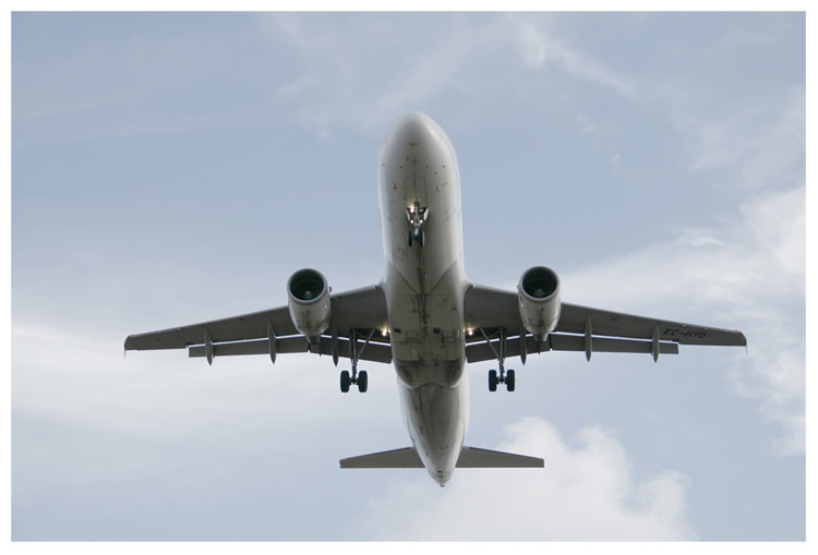 [avión.jpg]