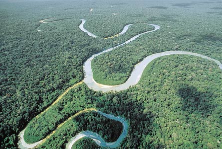 [amazonas.jpg]