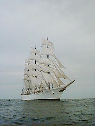 Fragata Libertad en mer