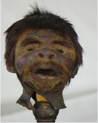 EL Legado Del Terror ††: Reduccion de cabezas humanas