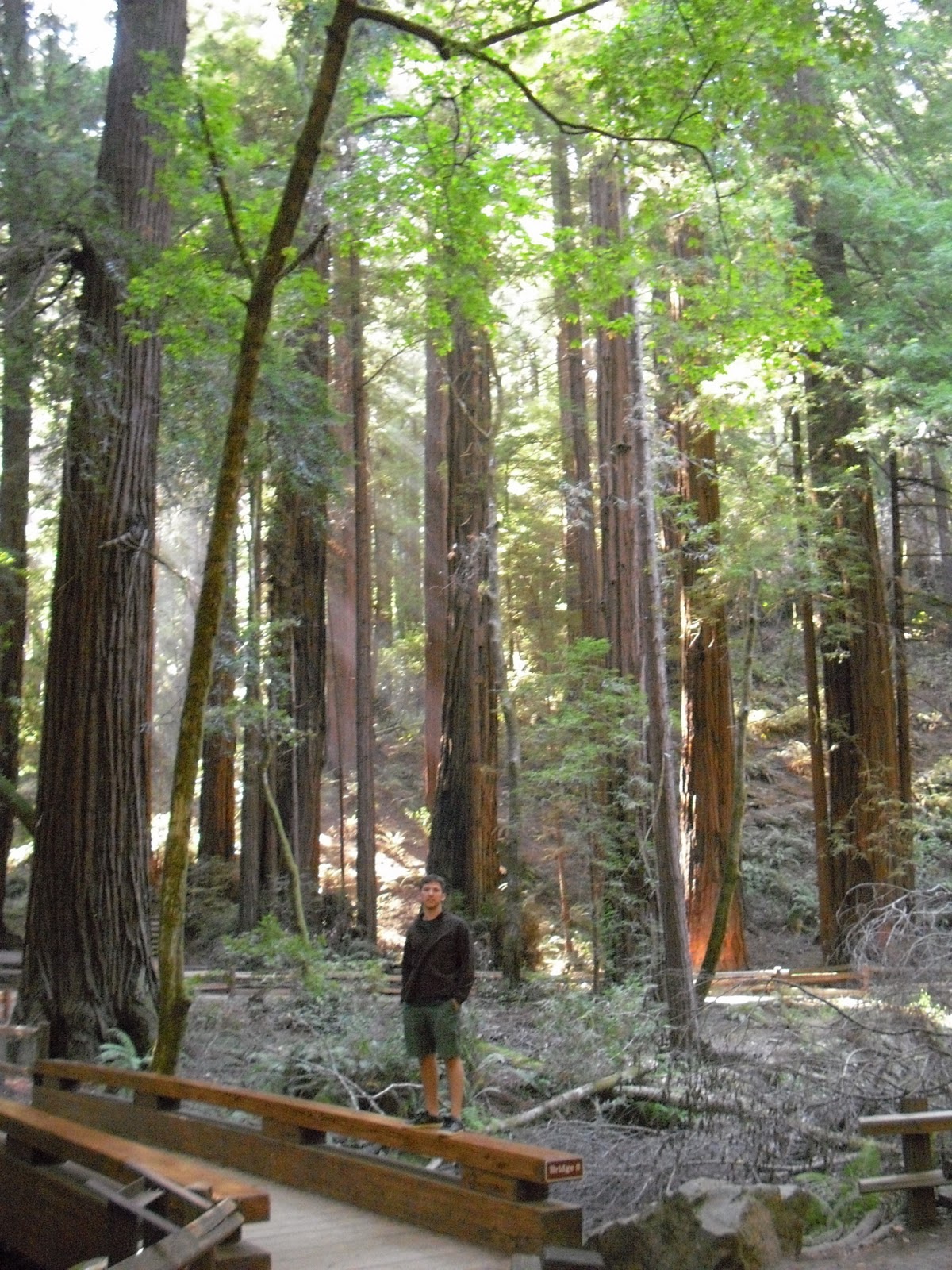 Thesis Blog Things I Can't Live Without